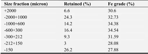 Table 10. Final results of magnetic experiments. 