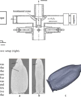Fig. 2. Transverse section (a) and longitudinal section (b) ofsunﬂower kernel and cain view of the sunﬂower kernel obtainedon X-ray microtomography (c).