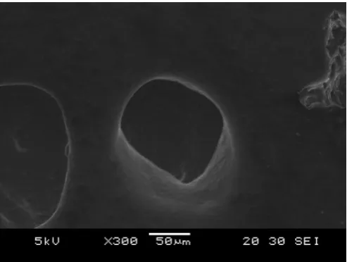 Figure 3 also shows an orientation of a long axis of cells-