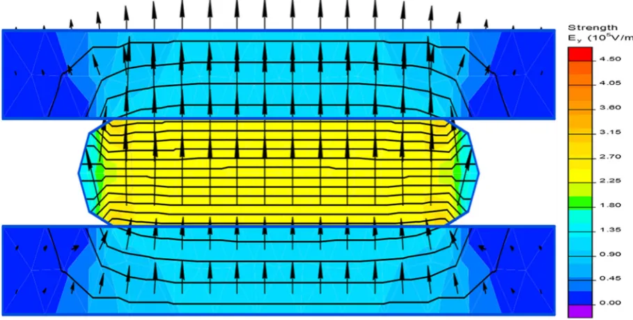 Fig. 7. Sunﬂower kernel surface structure before microwave treatment (a) and after microwave treatment (b).