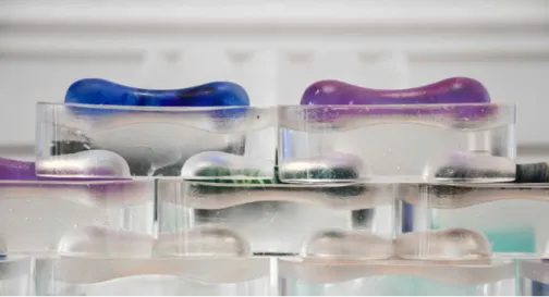 FIG. 7.11  Type C Prototype. The bone-shaped components are made of recycled coloured glass.