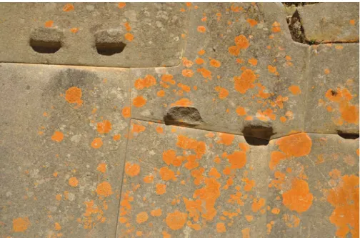 FIG. 7.2  Interlocking wall made by the Incas at Ollantaytambo, Peru.