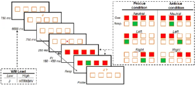 Figure 1. A schematic representation of the response (resp.) display presented in this study