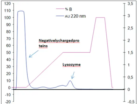 Fig. 1: Separation of lysozyme of egg white by cation exchange chromatography using ammonia 3 M