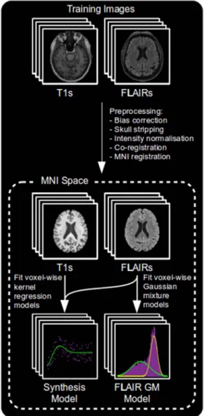 Fig. 3. An overview of the training process.