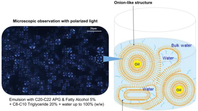 Fig. 14. Inﬂuence of lipids on in vivo moisturizing effect.