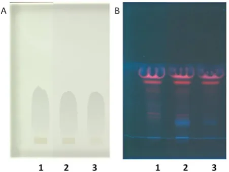 Fig. 3. HPTLC ﬁngerprints of three extracts n.1, 2 and 3 on silicagel 60 F254 plates: A) After a pre-migration step with cyclohexane asthe mobile phase and illuminated under white light; B) developmentin a second step with cyclohexane-ethyl acetate-methanol-phosphoricacid 58:24:18:0.5, illuminated under 366 nm.