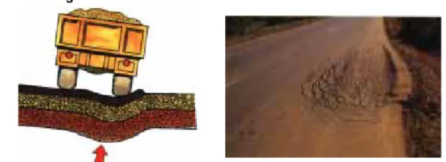 Fig: 45   Usually occurs along the edges of the pavement where it borders unsealed shoulders.