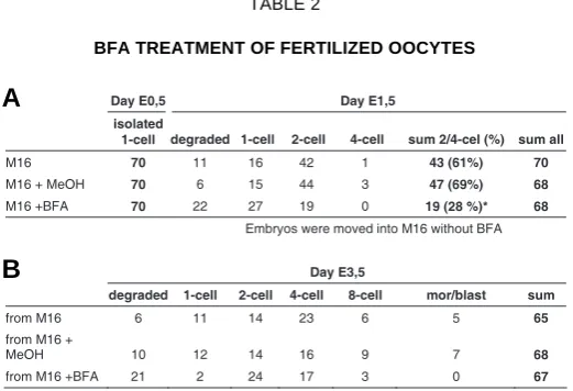 Fig. 2. Analyses of alternative splicing of the Arfgef2 gene. Series ofqk/qk, quaking; W/WESC, embryonic stem cells; Tfm, testicular feminization; olt/olt, oligotriche,both variants were observed, in kidney, liver, spleen, ovary and testis themutants
