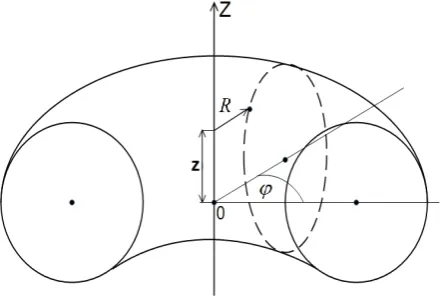 Figure 4. The toroidal plasma conﬁguration