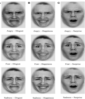 Figure 1.  Facial Expression with similar facial characteristics 