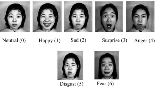 Figure 3. Sample images from JAFFE 