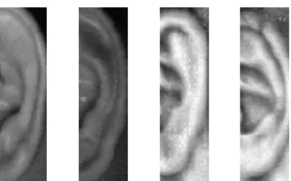 Fig. 1.  Ear images from four individuals in the IITD II dataset. 