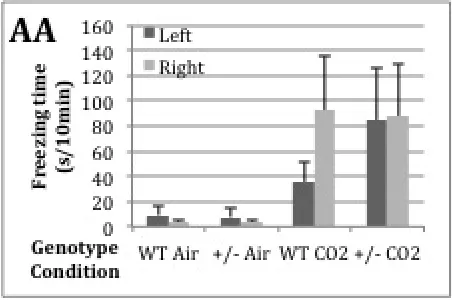 Figure 1. Freezing time in OFT per genotype and condition. Means + SEM. Significant differences (* p<0.001) among groups.
