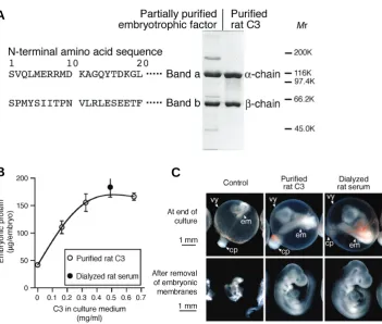 Fig. 1. Identification of the presumed