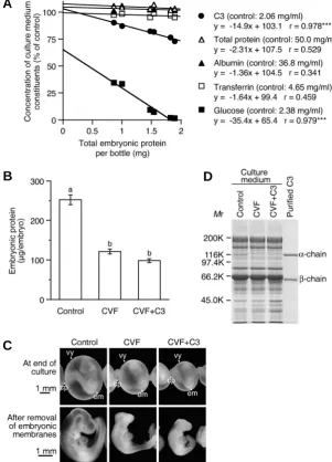 Fig. 2. C3 and growth of rat embryos in the culture