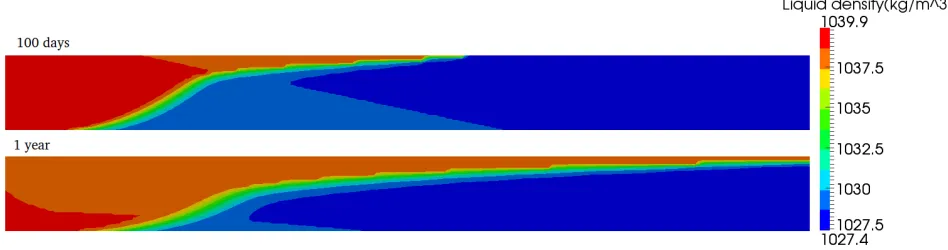 Figure 5. Liquid density ρl after 100 days and 1 year of CO2 injection. Only the 1.1 kmclosest to the injection is presented.