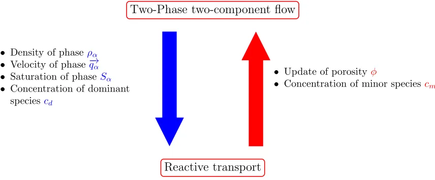 Figure 1. Coupling procedure between ﬂow and reactive transport modules.