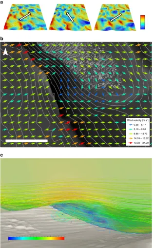 Figure 2 | Airﬂow modelling results near the dune ﬁeld surface from three simulated directions