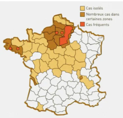 Fig. 4. Map of areas infested by A. euteiches in 2000 (source UNIP-Arvalis, 2001).