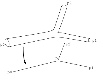 Figure 1. Stokes ﬂow in a network
