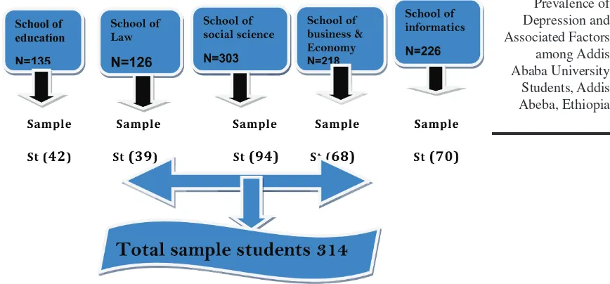 Figure 2: Schematic presentation of sampling procedure 
