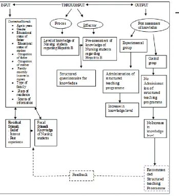 Figure 1: Modified Conceptual framework based on Roy’s Adaptation Model (1984)- - - - - - - -  Not included in the study _____________ Included in the study 