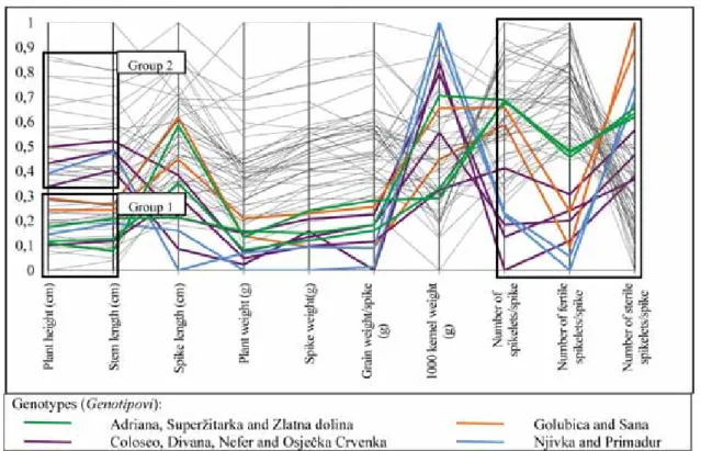 Figure 2. Representation of grouping among observations in parallel coordinate plot  Grafikon 2
