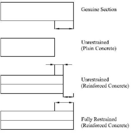 Figure 2.7 Shrinkage Strain 
