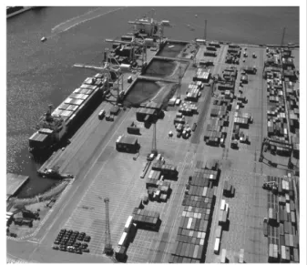 Figure 3 - Container terminal of the Port of Koper Source: Internal material of the Port of Koper