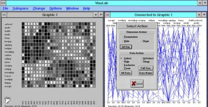 Figure 4. A permutation matrix with shaded rectangles and a parallel coordinate display of the whole data set (to the right, the menu of the parallel coordinate display can be seen).