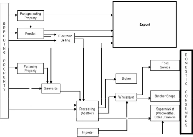 Figure 1.  Australian beef supply chain framework 