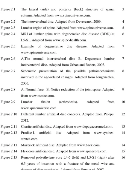 Figure 2.1  