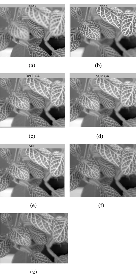 TABLE I. COMPARISION OF RESULTS FOR DATABASE IMAGE SETS 