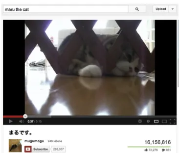 FIGURE 5: MARU THE CAT