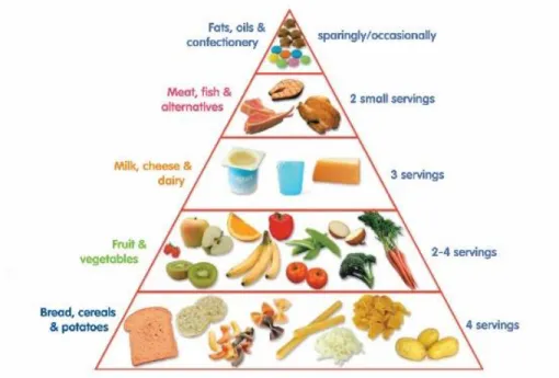 Figure 2 Food Pyramid 