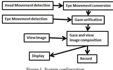 Figure 2. Example of eye movement by conventional experimental method 