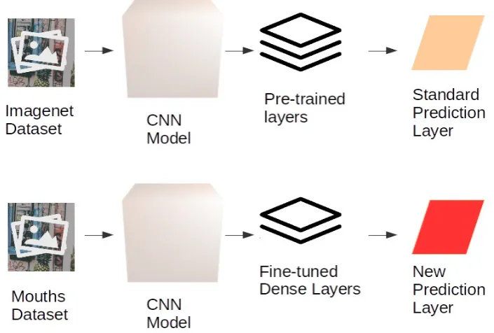 Figure 2. General scheme of our CNN network
