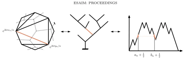Figure 3. Duality with trees and excursion.