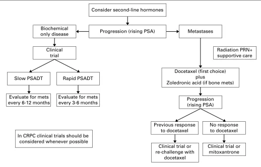 Fig. 1. Proposed approach for patients with castrate resistant prostate cancer with presently available agents