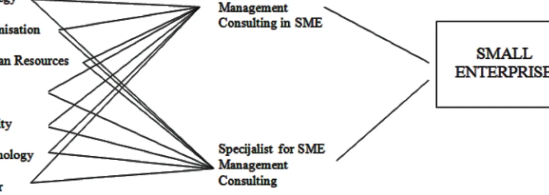 Figure 1 Management consulting for SMEs Source: Barisic, Bozicevic