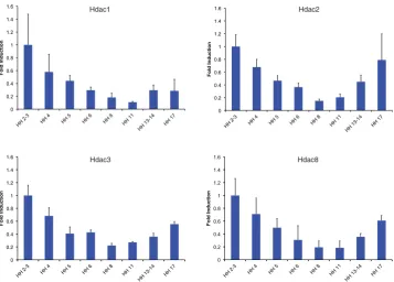 Fig. 1. Class I HDAC mRNA levels during early stages of chick development. Real time PCR fromRNA extracts of whole embryos between stages HH2/3–17 showing levels