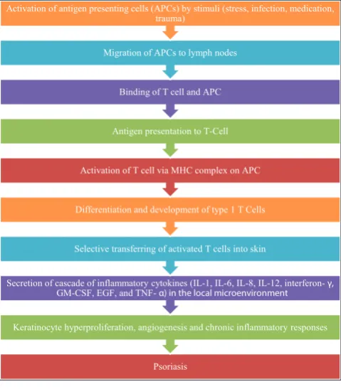 Fig. 1: Pathogenesis of psoriasis
