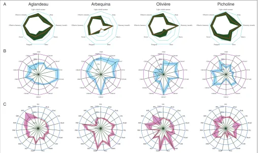 Fig. 1. Morphogram to describe the oil proﬁles of the varieties Aglandau, Arbequina, Olivière and Picholine based on sevral tens of oilsamples (from Pinatel et al