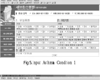 Fig 5.  Input Asthma Condition 1