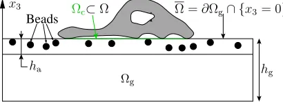 Figure 2. Schematic representation of a cell on the elastic substrate. Ω{Ω: 2D calculation domain corresponding to the cell migration plane (Ω is the interior ofg: 3D elastic subtrate; ∂Ωg ∩x3 = 0}); Ωc: cell domain, the part of Ω “below” the cell