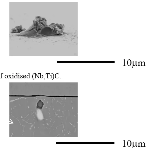 Fig. 7: Irregular surface eruption of oxidised (Nb,Ti)C. 