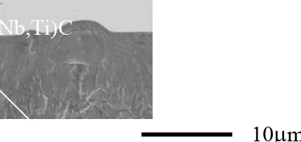 Fig. 11: Side view of a bulge in the notch root created by the oxidation of a sub-surface (Nb,Ti)C primary carbide