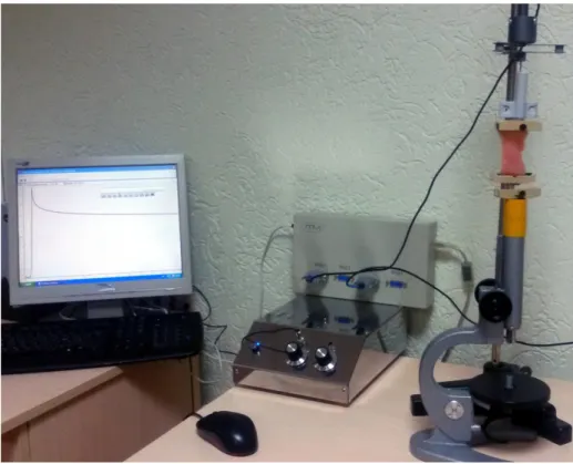 Fig. 1. The setting for study of dynamics of changes of relaxation effort of   turkey fillet at extension deformation