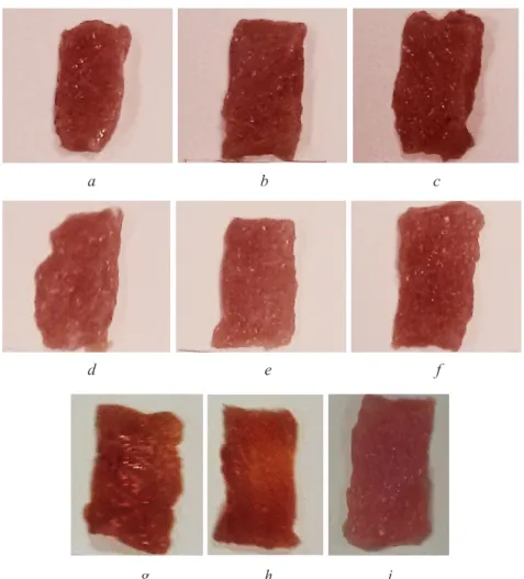 Fig. 2. The turkey samples before axial extension deformation:  а–c – samples 1 (6 hours of  storage); d–f – зsamples 2 (22 hours of storage); g–i – samples 3 (46 hours of storage)
